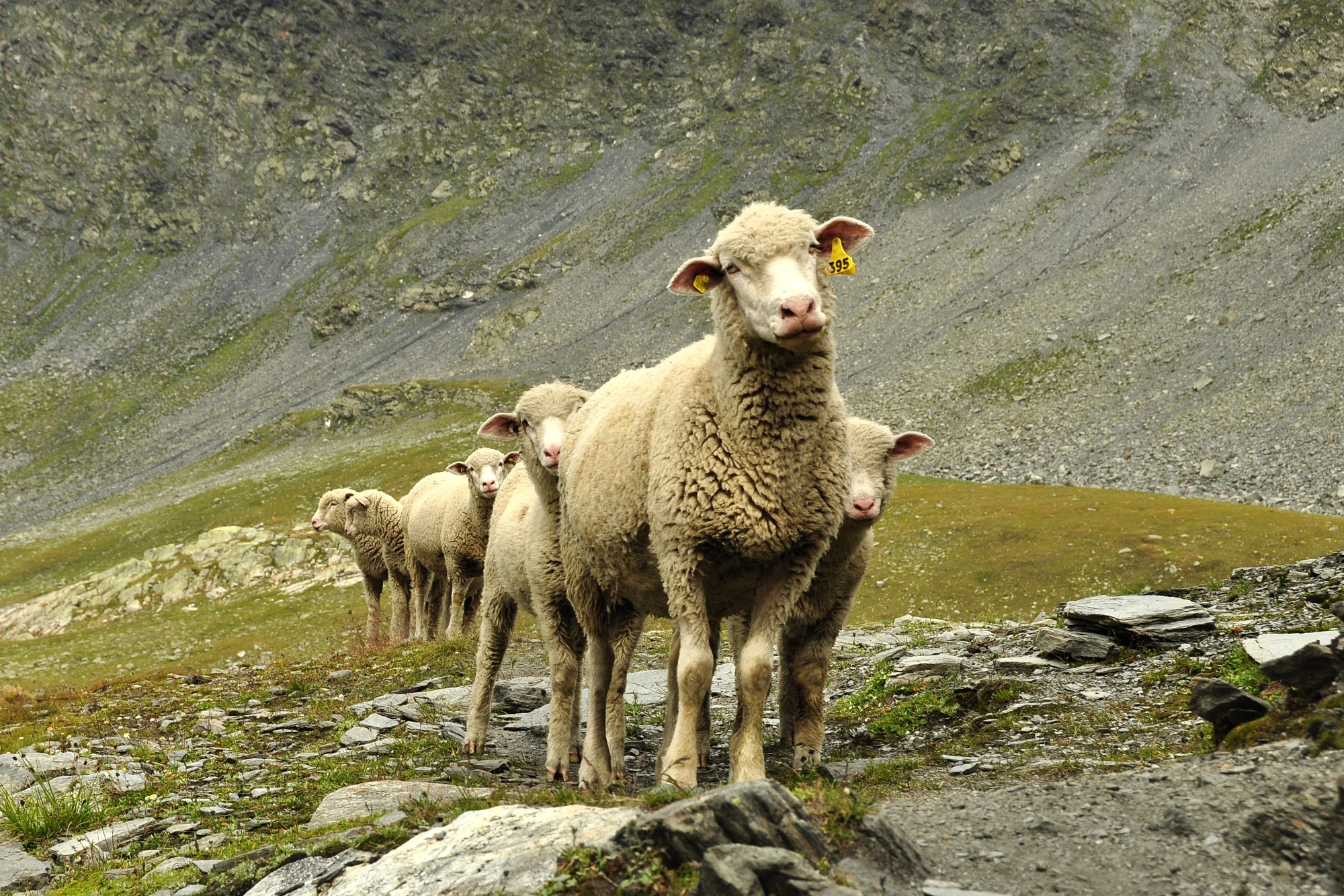 Lacs de Fenêtre